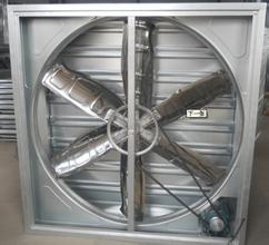 ����ؓ���L�C