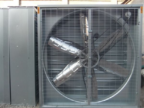 ����ؓ���L(f��ng)�C