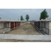 ؓ���L�C�B(y��ng)ֳ